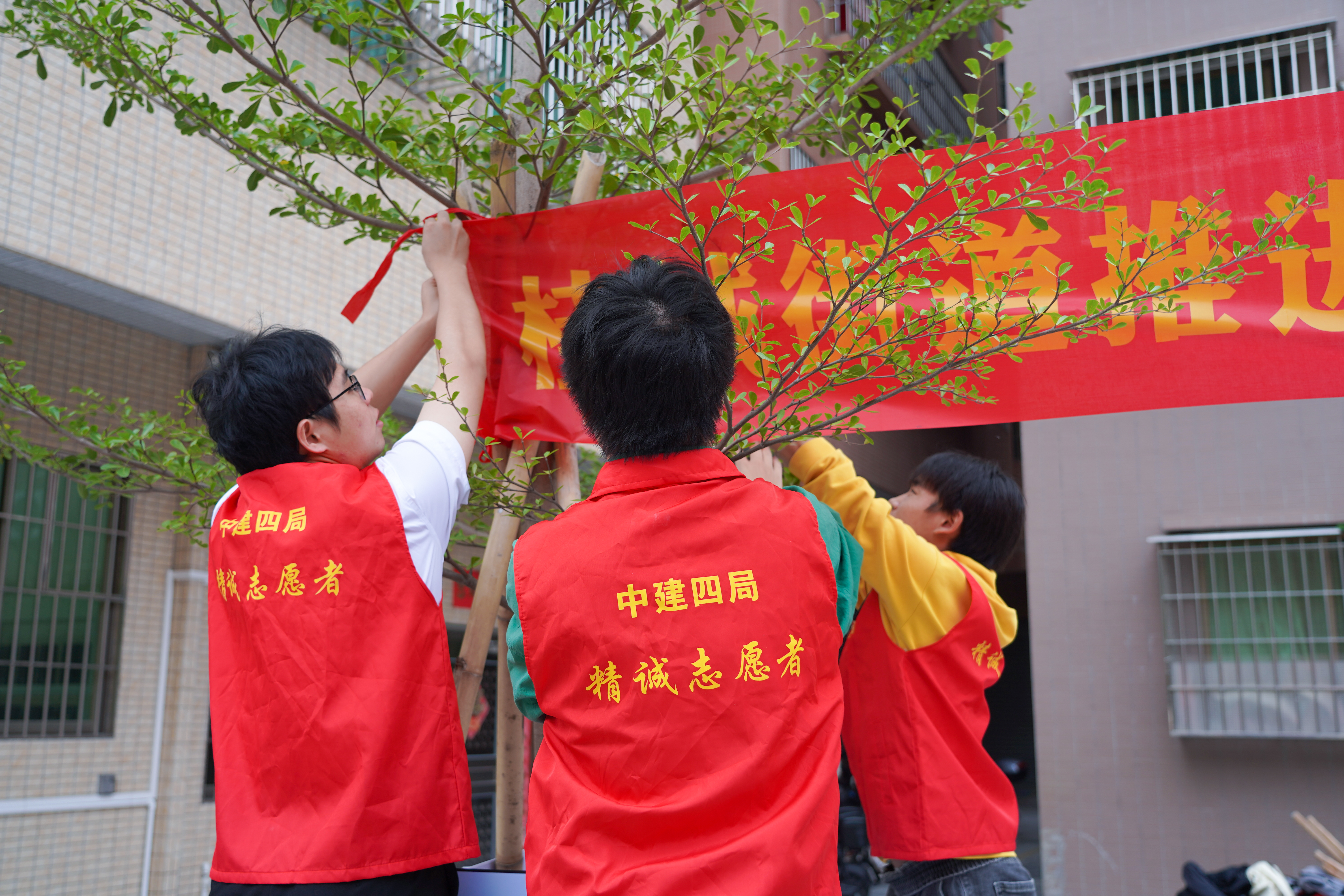 dsc06391.jpg